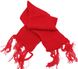 Двосторонній чоловічий теплий шарф Giorgio Ferretti різнобарвний S1645419 фото 2