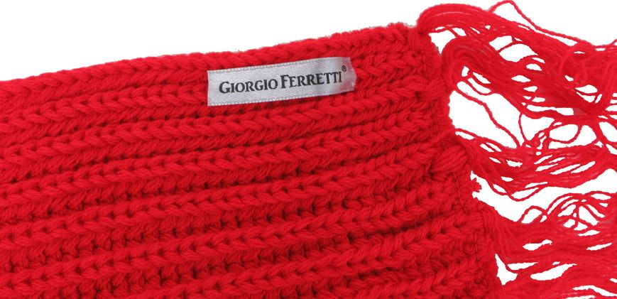 Двосторонній чоловічий теплий шарф Giorgio Ferretti різнобарвний S1645419 фото