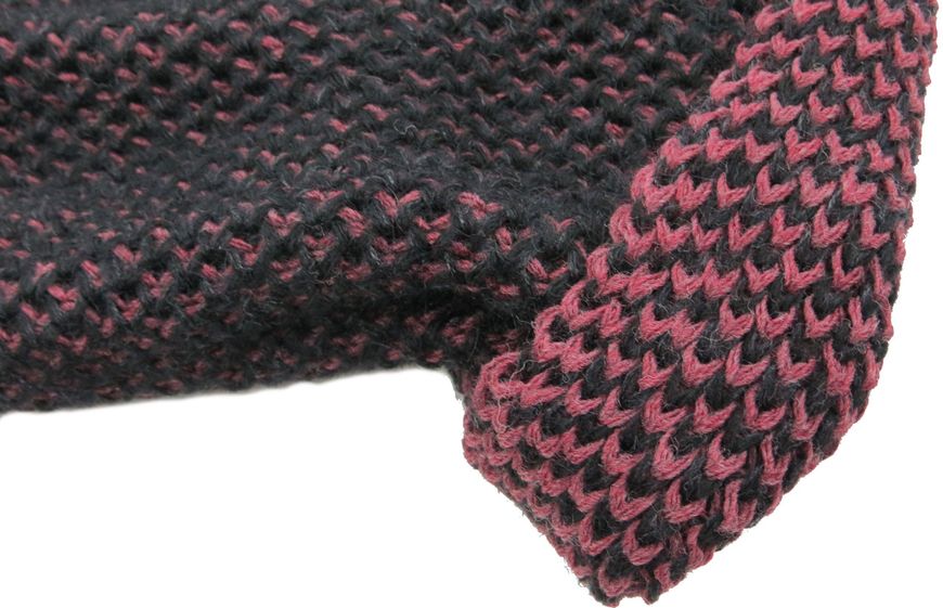 Жіночий теплий шарф-снуд Giorgio Ferretti фіолетовий із чорним GFNHOM0039 фото