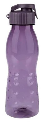 Пляшка для пиття Ernesto 0,7 фіолетова IAN339542 violet фото